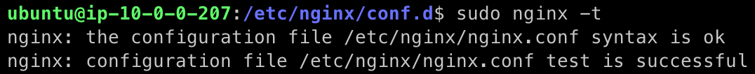 test nginx syntax